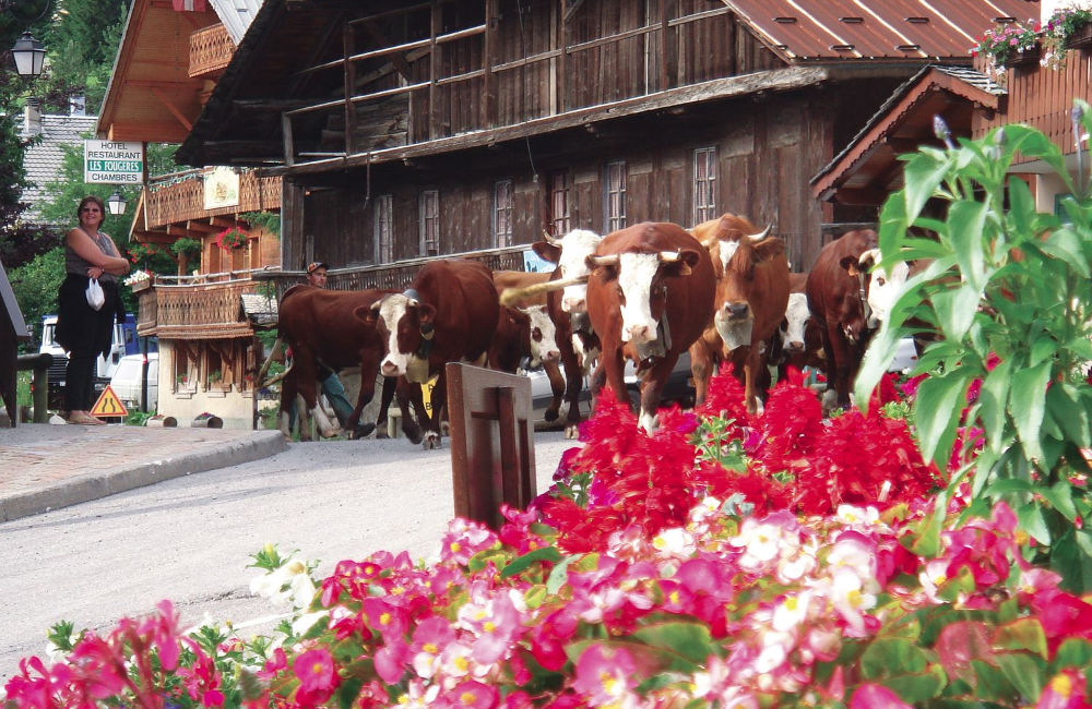 Chalet à Chatel